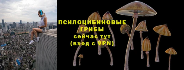 apvp Россошь