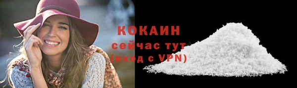МДПВ Рославль