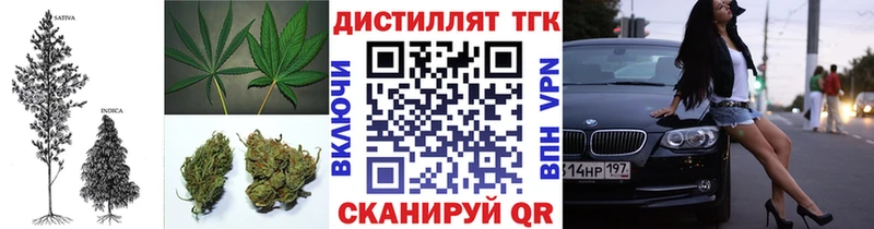 ТГК Wax  площадка как зайти  Новоалтайск 
